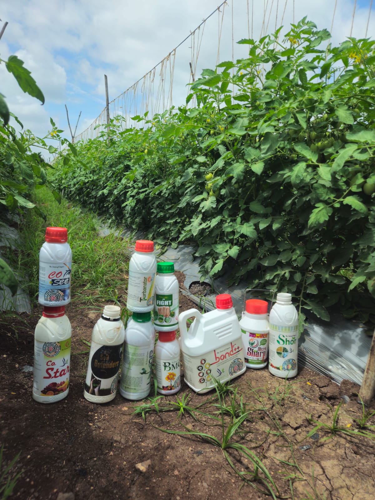 Farmer Plot Visit